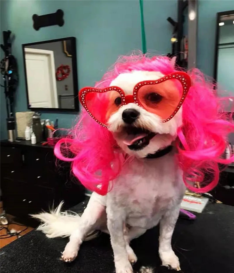 Dog Cat Cosplay Wig Long Blonde Curly Hair with Adjustable Elastic Bands Pet Wigs for Halloween, Christmas, Festivals, Pet Cosplay Costumes Accessories for Dog Cat (Red)